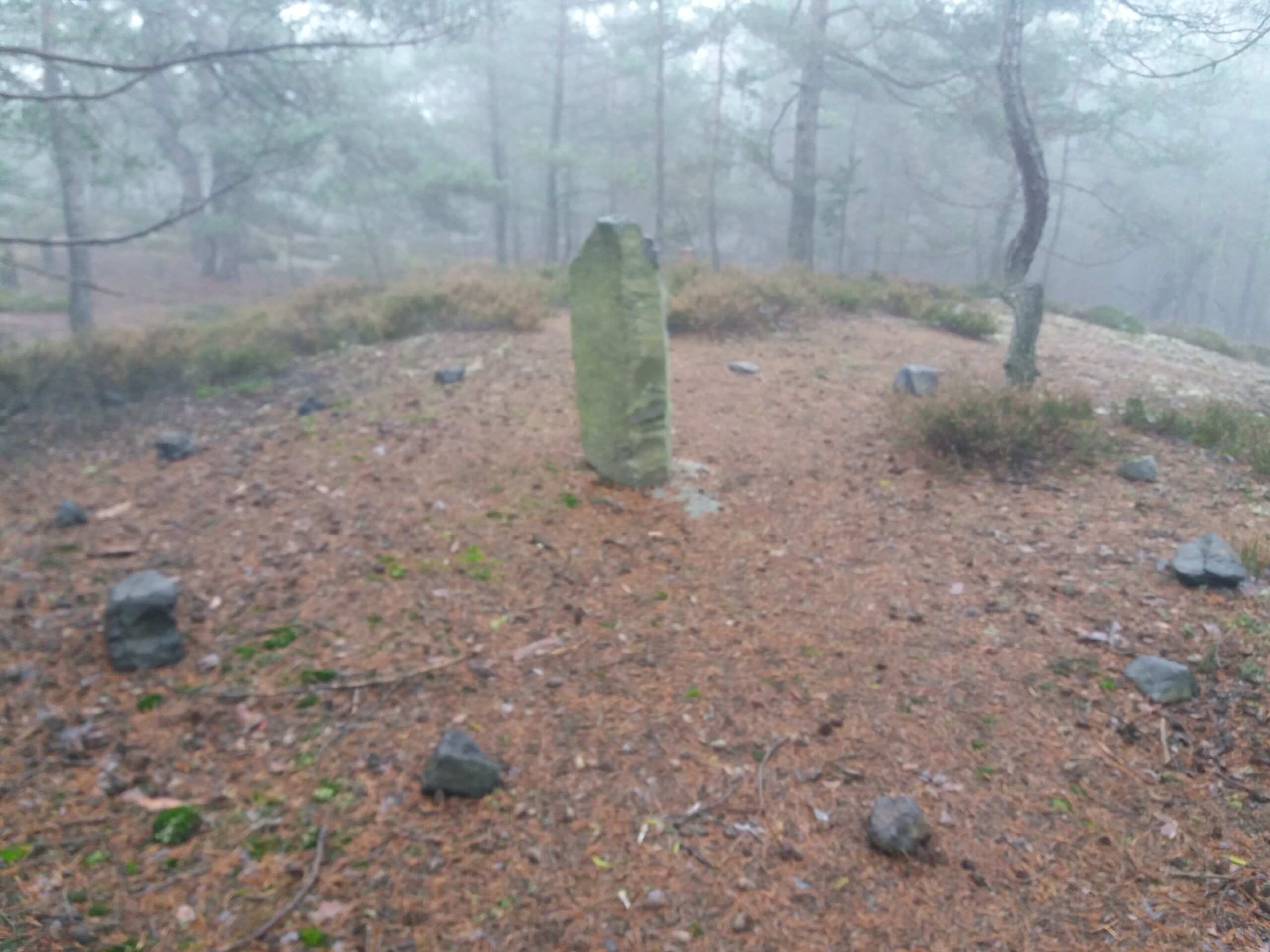 20201108_133846.jpg