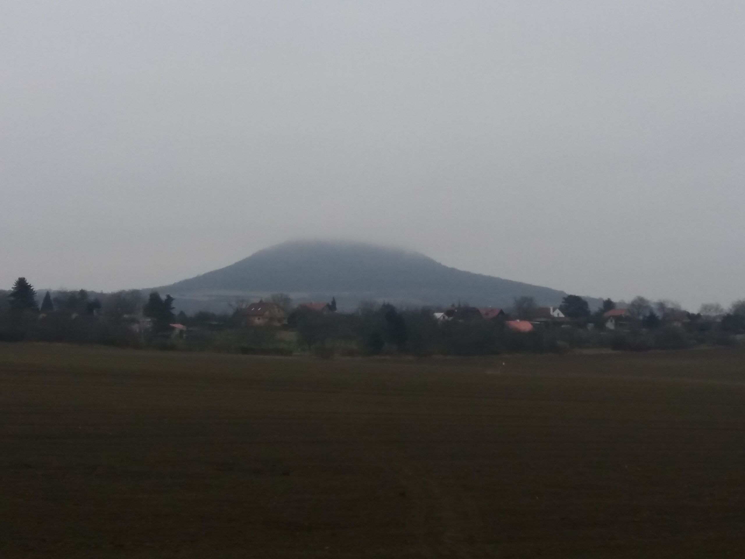 20201220_092433.jpg
